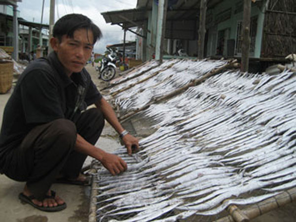 Có vốn, anh Nguyễn Văn Sĩ mua cá về phơi khô để bán