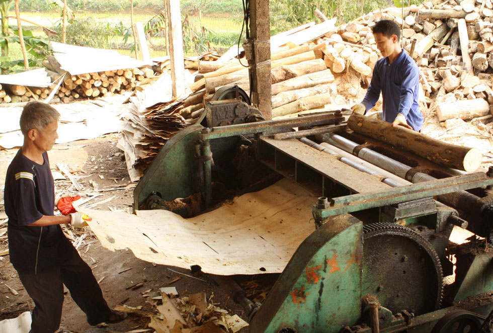Gia đình anh Nguyễn Văn Thái ở xã Cát Thịnh, huyện Văn Chấn (Yên Bái) vay vốn chương trình cho vay hộ gia đình sản xuất kinh doanh vùng khó khăn, đầu tư máy móc, mua nguyên liệu sản xuất “gỗ bóc” tạo việc làm cho 6 lao động