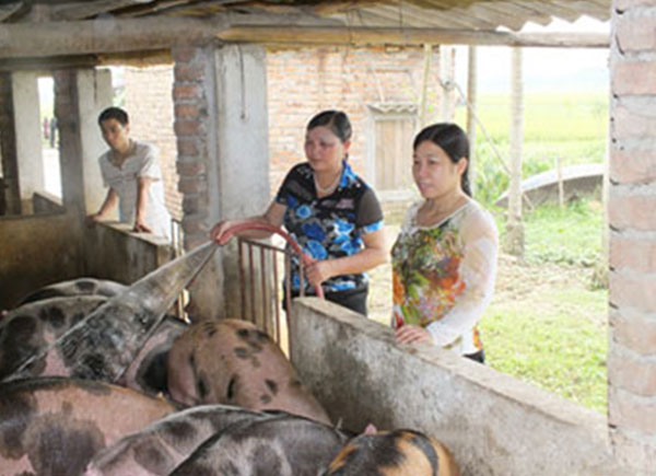 Chị Vũ Thị Hồng Khuyên (bìa phải) đang kiểm tra hiệu quả nguồn vốn vay tại cơ sở