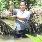 Ông Phan Văn Huấn ở ấp Bào, xã Hiệp Thạnh, thu lợi nhuận 300 triệu đồng từ tôm, cua, cá dưới tán rừng ngập mặn