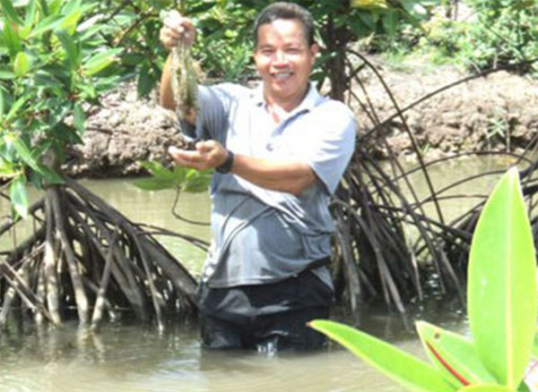 Ông Phan Văn Huấn ở ấp Bào, xã Hiệp Thạnh, thu lợi nhuận 300 triệu đồng từ tôm, cua, cá dưới tán rừng ngập mặn
