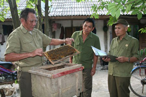 Mô hình nuôi ong của hội viên CCB tỉnh Lai Châu