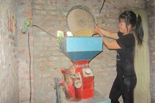 Được tiếp vốn, chị Trần Thị Đào ở thôn Phúc Tá yên tâm làm ăn