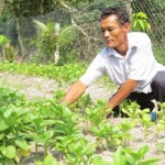 Nhiều nông dân muốn Nhà nước coi các huyện đảo là “vùng khó khăn” để nông dân có thể được vay vốn chương trình hộ gia đình sản xuất, kinh doanh vùng khó khăn