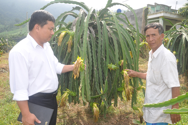 Giám đốc trẻ Nguyễn Hữu Hiệp (trái) kiểm tra việc sử dụng vốn vay tại cơ sở