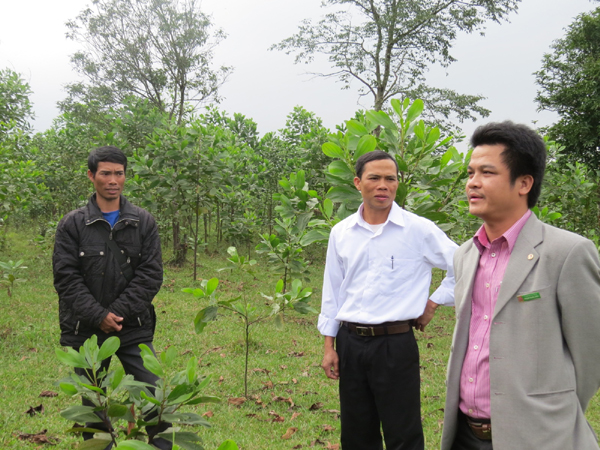Anh Hà Minh Hân (ngoài cùng bên trái) thăm mô hình trồng rừng sản xuất của tổ viên được đầu tư từ nguồn vốn chính sách