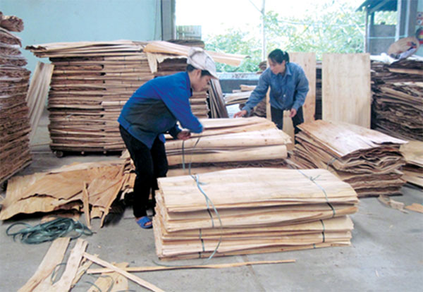 Từ nguồn vốn của NHCSXH nhiều hộ dân đã vươn lên thoát nghèo, có cuộc sống bền vững - Xưởng chế biến gỗ của gia đình anh Nguyễn Văn Lương ở xã Ấm Hạ, huyện Hạ Hòa (Phú Thọ) cho thu nhập 100 triệu đồng mỗi năm, tạo việc làm thường xuyên cho 4 lao động