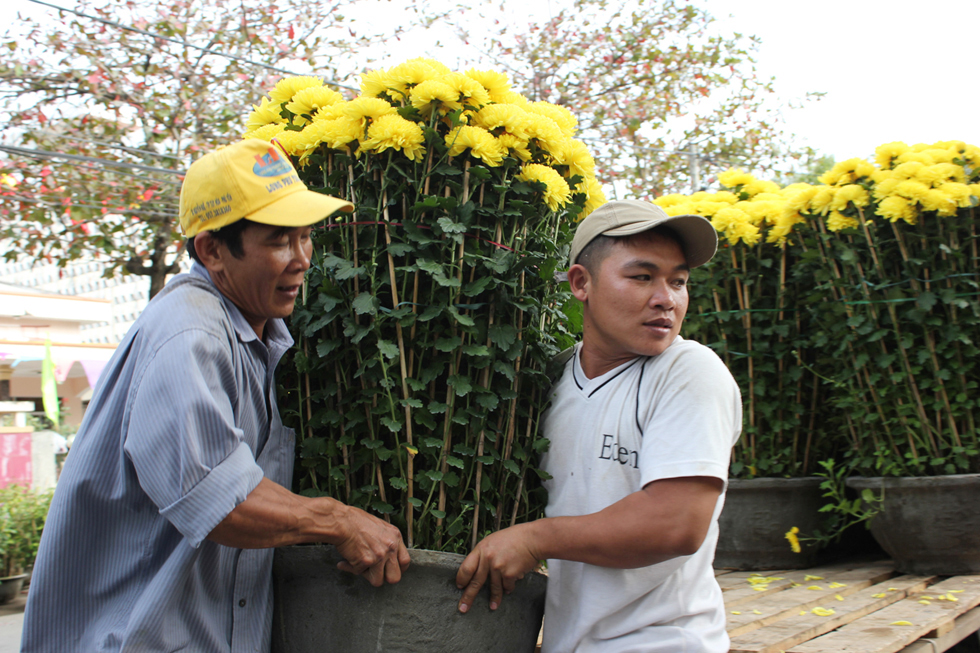 Hiệu quả của nguồn vốn còn được thể hiện rõ ở làng nghề trồng hoa, cây cảnh xã Bình Kiến (TP. Tuy Hòa) - nơi cung cấp phần lớn các loại hoa cho ngày lễ, tết trong và ngoài tỉnh