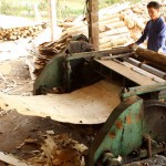 Nhiều doanh nghiệp ở Trấn Yên chế biến gỗ rừng trồng, đã đầu tư thiết bị sản xuất gỗ ván dăm, ván dán ép, đũa gỗ xuất khẩu, gỗ xẻ thanh, gỗ ván bóc...; tạo việc làm cho nhiều lao động trong vùng Ảnh: TTXVN