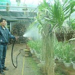 Mô hình trồng lan của anh Trịnh Đắc Lam giải quyết việc làm thường xuyên cho 5 lao động và khoảng 15 lao động mùa vụ
