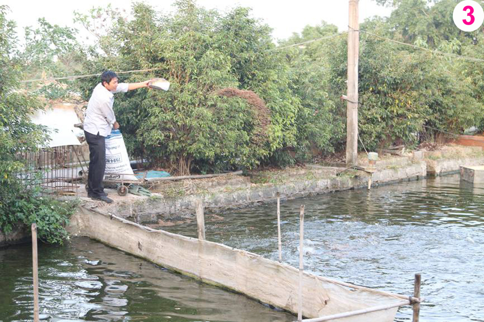 Anh Đỗ Văn Chuyên ở thôn Chai Trang, thị trấn Yên Mỹ vay 20 triệu đồng từ Chương trình giải quyết việc làm phát triển trang trại nuôi cá, mỗi năm thu hoạch từ 2 - 3 tấn cá