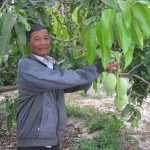 Cam Lâm chọn mô hình vườn cây ăn trái là động lực giảm nghèo