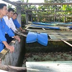 Trang trại nuôi ếch của Lê Văn Thành ở huyện Điện Bàn