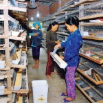 Chị em phụ nữ nghèo ở huyện Điện Bàn (Quảng Nam) được vay vốn cùng giúp đỡ nhau phát triển kinh tế