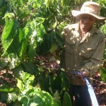 Hội viên CCB ở Đắk Nông được tiếp cận nguồn vốn chính sách để đầu tư trồng cà phê, phát triển kinh tế