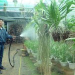 Anh Trịnh Đắc Lam đang chăm sóc vườn lan từ vốn vay ưu đãi