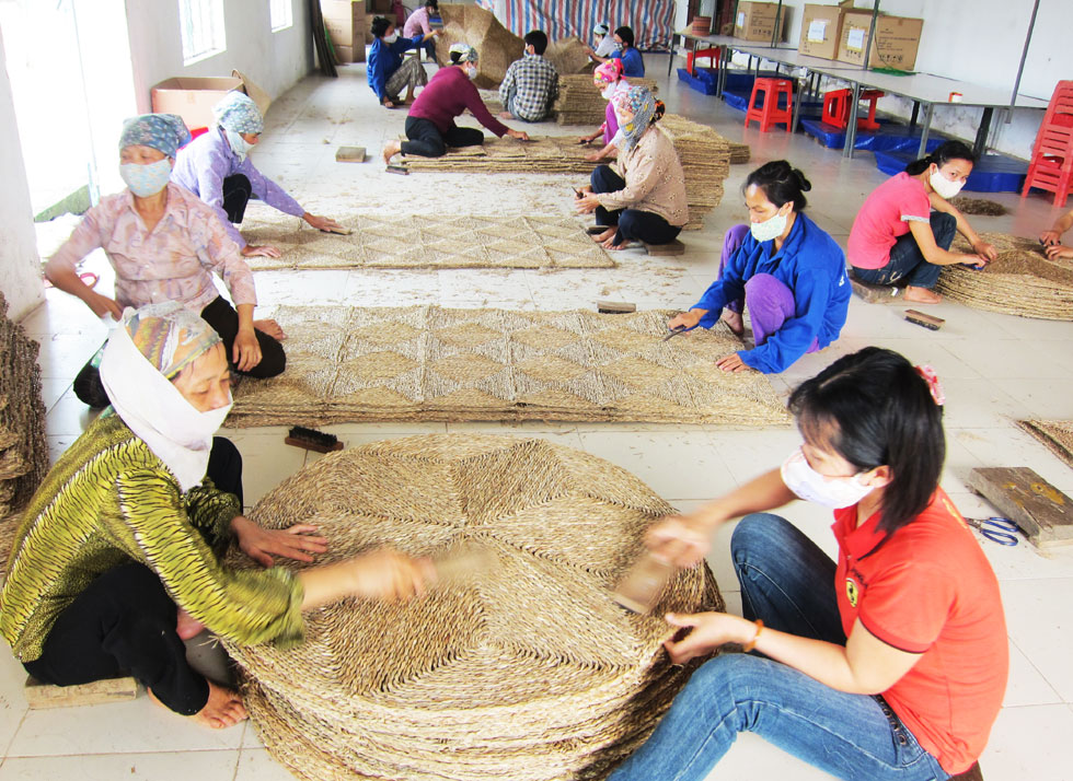 Vốn vay ưu đãi còn giúp gia đình anh Mai Văn Bường ở xã Nga Thanh, huyện Nga Sơn mua nguyên liệu và mở rộng cơ sở sản xuất, phát triển nghề cói truyền thống của địa phương
