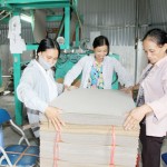 Với 255 triệu đồng được vay, HTX bao bì Xuân Phương đã đầu tư mở rộng dây chuyền sản xuất, tạo việc làm mới cho trên 10 lao động nông thôn địa phương