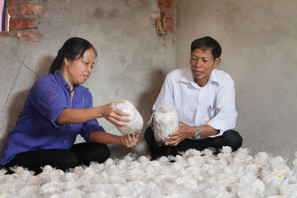 Còn ở xã Quang Tiến, huyện Sóc Sơn có gia đình chị Đào Thị Thiện đã mạnh dạn vay hàng trăm triệu đồng từ nguồn vốn chính sách để trồng nấm rơm, tạo nhiều việc làm và thu nhập ổn định cho người dân trong vùng