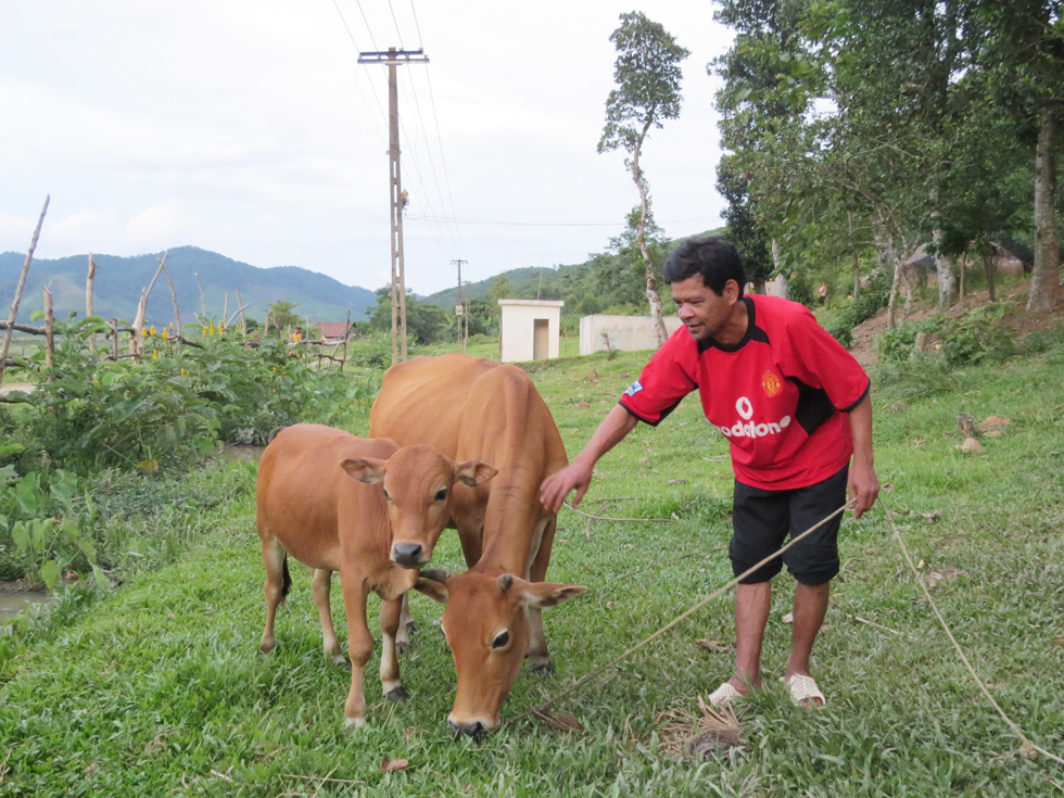 Anh Hồ Nam, dân tộc Chứt ở bản Rào Tre, xã Hương Liên, huyện Hương Khê được vay 5 triệu đồng đầu tư chăn nuôi bò