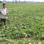 Nguồn vốn vay ưu đãi đã giúp hộ cận nghèo ở Vạn Ninh có điều kiện tăng gia sản xuất