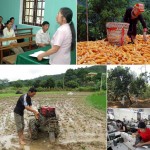 Nguồn vốn ưu đãi đã đầu tư đúng đối tượng, phát huy hiệu quả sử dụng, góp phần thực hiện mục tiêu giảm nghèo bền vững Ảnh: Trần Việt - TTXVN
