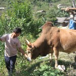 Hoạt động tín dụng chính sách do NHCSXH thực hiện trên địa bàn tỉnh Nghệ An đã góp phần quan trọng thực hiện có hiệu quả chủ trương xã hội hóa công tác giảm nghèo Ảnh: Cao Ca - VTV