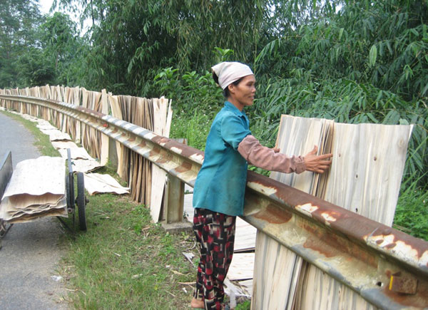 Có vốn ưu đãi của NHCSXH, nhiều hộ nông dân ở Văn Chấn đã đầu tư phát triển nghề rừng và chế biến lâm nghiệp rất hiệu quả