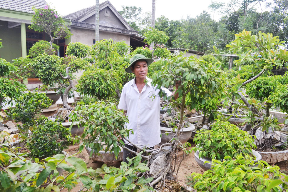 Cùng địa chỉ với anh Hoàng, gia đình anh Nguyễn Văn Triển cũng được vay 100 triệu đồng đầu tư trồng cây cảnh, nuôi nhím, dê, lợn rừng, bồ câu, ếch, cá cảnh giống, thanh long ruột đỏ