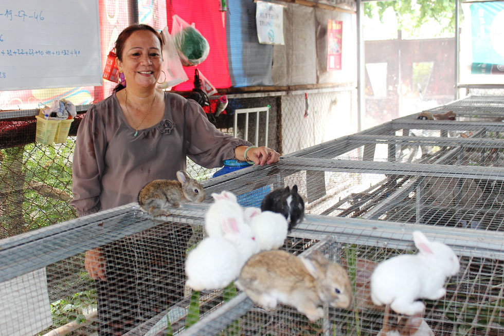Cùng địa chỉ với anh Khoa, gia đình chị Lê Thị Hằng cũng được vay vốn ưu đãi mở rộng trang trại chăn nuôi thỏ mỗi năm cho thu nhập hàng trăm triệu đồng