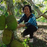 Bà Phan Thị Vân trong mảnh vườn được tu bổ nhờ nguồn vốn vay từ NHCSXH