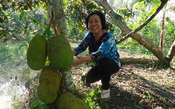Bà Phan Thị Vân trong mảnh vườn được tu bổ nhờ nguồn vốn vay từ NHCSXH