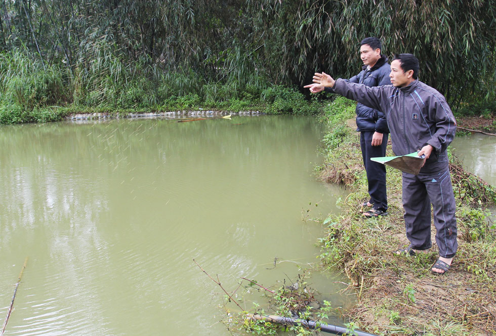 Anh Nguyễn Quốc Khánh ở thôn Đồng Bát, xã Yên Thái, huyện Văn Yên vay 30 triệu đồng chương trình hộ nghèo phát triển trang trại nuôi cá, mỗi năm thu hoạch khoảng 2 tấn cá