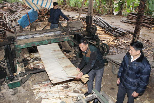 Nguồn vốn cho vay hộ sản xuất, kinh doanh vùng khó khăn đã có tác dụng đối với người dân Yên Thái (Trong ảnh là mô hình sản xuất của gia đình anh Nguyễn Văn Sáng vay 30 triệu đồng từ NHCSXH đầu tư vào cơ sở chế biến lâm sản, bóc gỗ xuất khẩu)