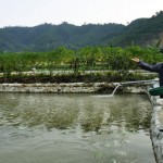 Tận dụng thiên nhiên nuôi cá nước chảy là một trong những thế mạnh của nông dân Bình Liêu