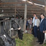 Phó Thủ tướng Vũ Văn Ninh thăm hộ nuôi bò sữa của ông Bùi Đăng Sơn ở Đơn Dương (Lâm Đồng). Với lợi nhuận 40 triệu đồng/tháng, gia đình ông Sơn đã thoát nghèo