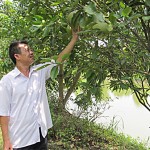 Vốn vay ưu đãi đã giúp nhiều nông dân nghèo ở xã Nghĩa Đạo, huyện Thuận Thành phát triển mô hình kinh tế tổng hợp