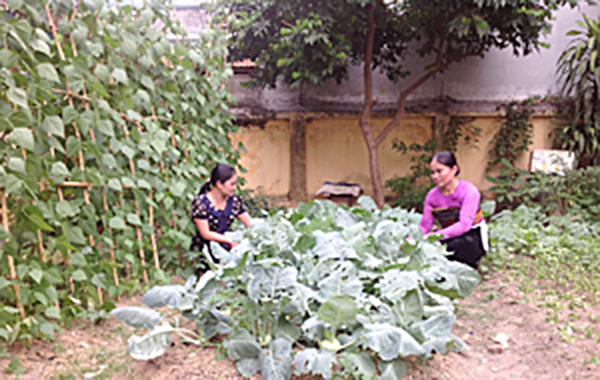 Từ vốn vay của NHCSXH, hội viên phụ nữ xã Mai Hạ, huyện Mai Châu (Hòa Bình) tập trung phát triển kinh tế gia đình, ổn định cuộc sống