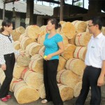Chị Nguyễn Thị Giang (ngoài cùng bên trái) trực tiếp kiểm tra hộ dân sử dụng vốn vay