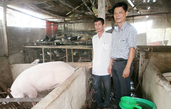 Chủ tịch Hội CCB xã Hòa An Lê Thành Nam (bên phải) đi thăm hộ gia đình chăn nuôi hiệu quả