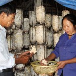 Mô hình trồng nấm giúp bà con xã Quang Tiến làm giàu