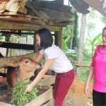 Chị Trần Thị Thủy (áo hồng) đến thăm hội viên phụ nữ Phạm Thị Tuyết được vay 30 triệu đồng hộ nghèo để chăn nuôi bò