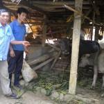 Tổ trưởng Nguyễn Văn Thuận (trái) thăm hộ gia đình vốn vay
