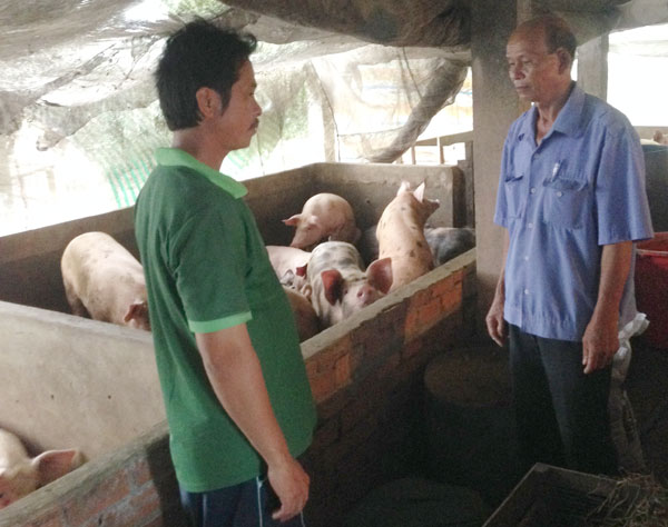 Tổ trưởng Nguyễn Văn Hiệp (phải) đang trao đổi với tổ viên về kỹ thuật chăn nuôi
