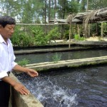 Ông Bùi Thanh ở xã Vinh Hưng, huyện Phú Lộc chăm sóc hồ cá của gia đình từ nguồn vốn vay ngân hàng
