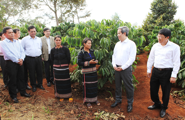 Thống đốc Nguyễn Văn Bình và đoàn công tác thăm vườn cà phê của gia đình