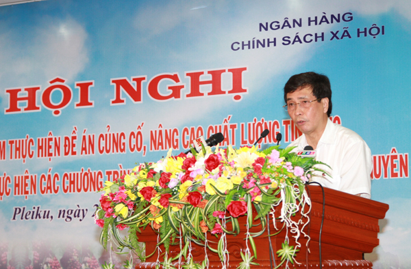 Đồng chí Trần Việt Hùng trình bày báo cáo của Ban Chỉ đạo Tây Nguyên