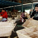 Từ sự hỗ trợ về vốn của Chính phủ, tỉnh Quảng Nam có điều kiện phát triển mây, tre đan xuất khẩu, tạo việc làm cho nhiều lao động địa phương