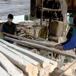 Có thêm vốn vay, xưởng chế biến gỗ của gia đình chị Nguyễn Thị Quyên đã tạo công ăn việc làm cho nhiều lao động địa phương