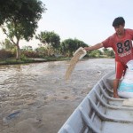 Nhiều hộ cận nghèo tại TP. Cần Thơ được vay vốn ưu đãi đầu tư nuôi cá tra Ảnh: Trần Việt